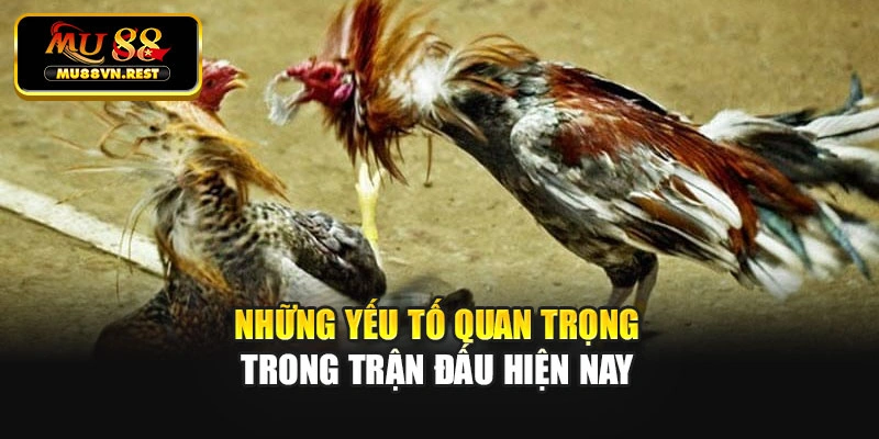 Những yếu tố quan trọng trong trận đấu hiện nay
